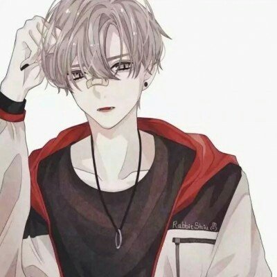 贾平凹儿子被指抄袭